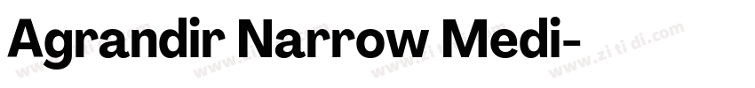 Agrandir Narrow Medi字体转换 Agrandir Narrow Medi字体转换